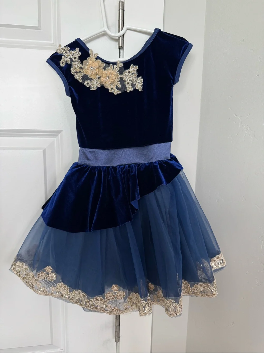 Navy Blue Velvet & Tulle Girls' Costume Dress with Gold Appliqué